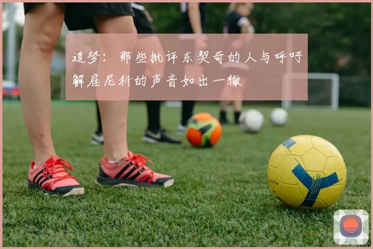 追梦：那些批评东契奇的人与呼吁解雇尼科的声音如出一辙